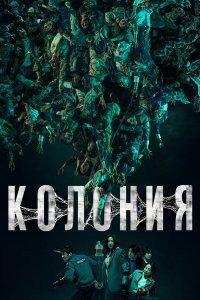 Колония